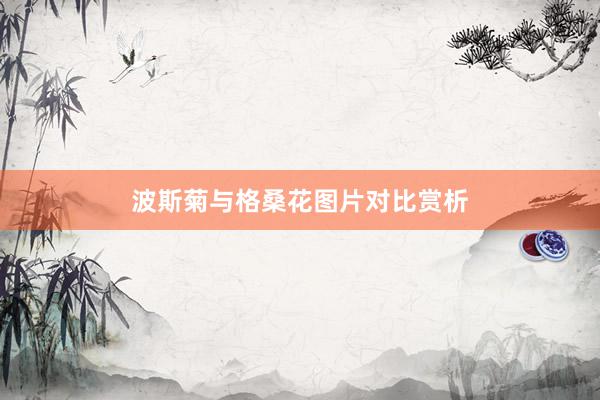 波斯菊与格桑花图片对比赏析